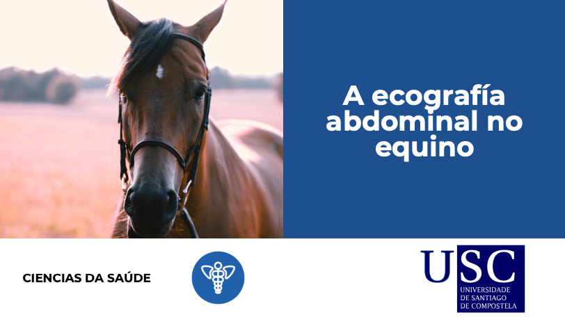 A ecografía abdominal no equino